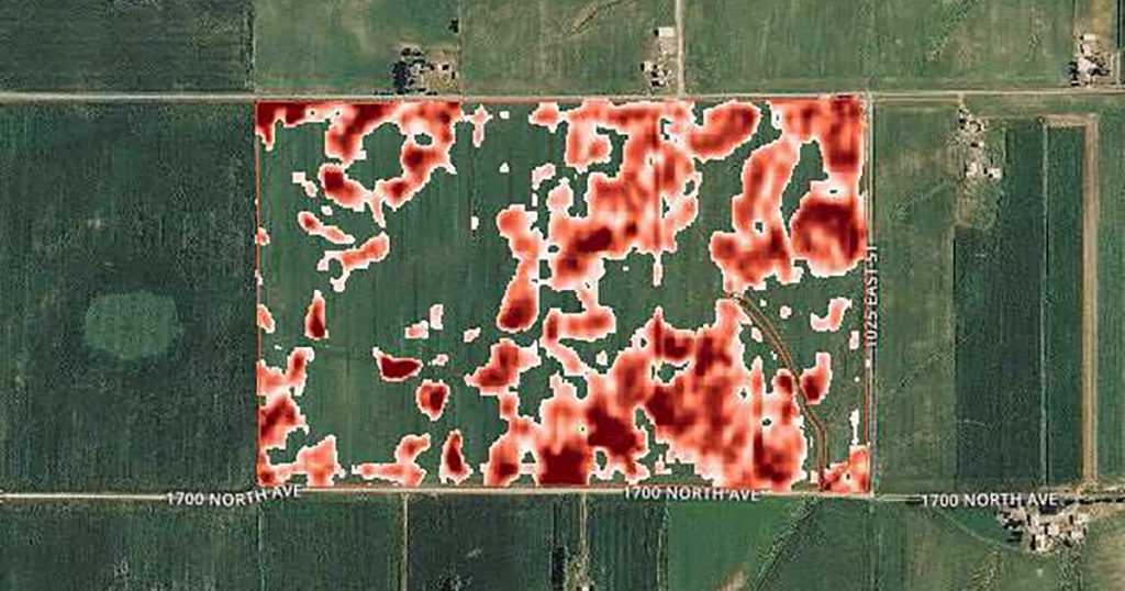 heatmap of a field after seed testing solutions have evaluated yield production
