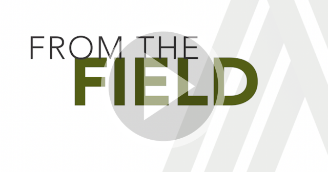 from the field podcast series logo