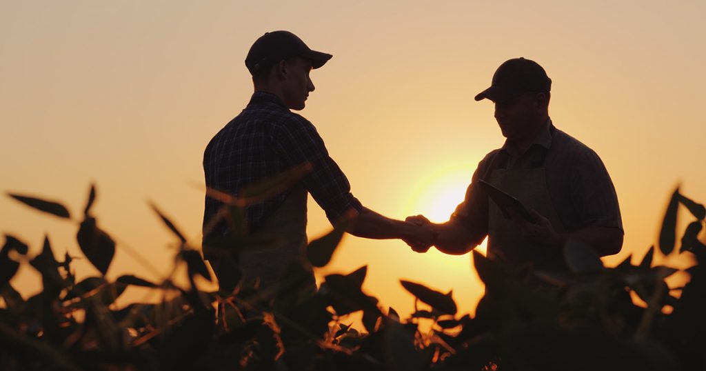ALCIVIA rep and farmer shaking hands in a field with sunset in the background