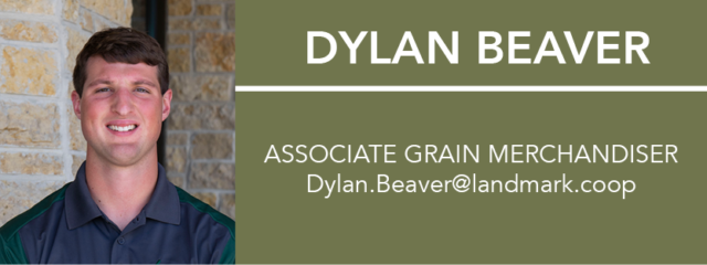 Business card contact info for associate grain merchandiser dylan beaver