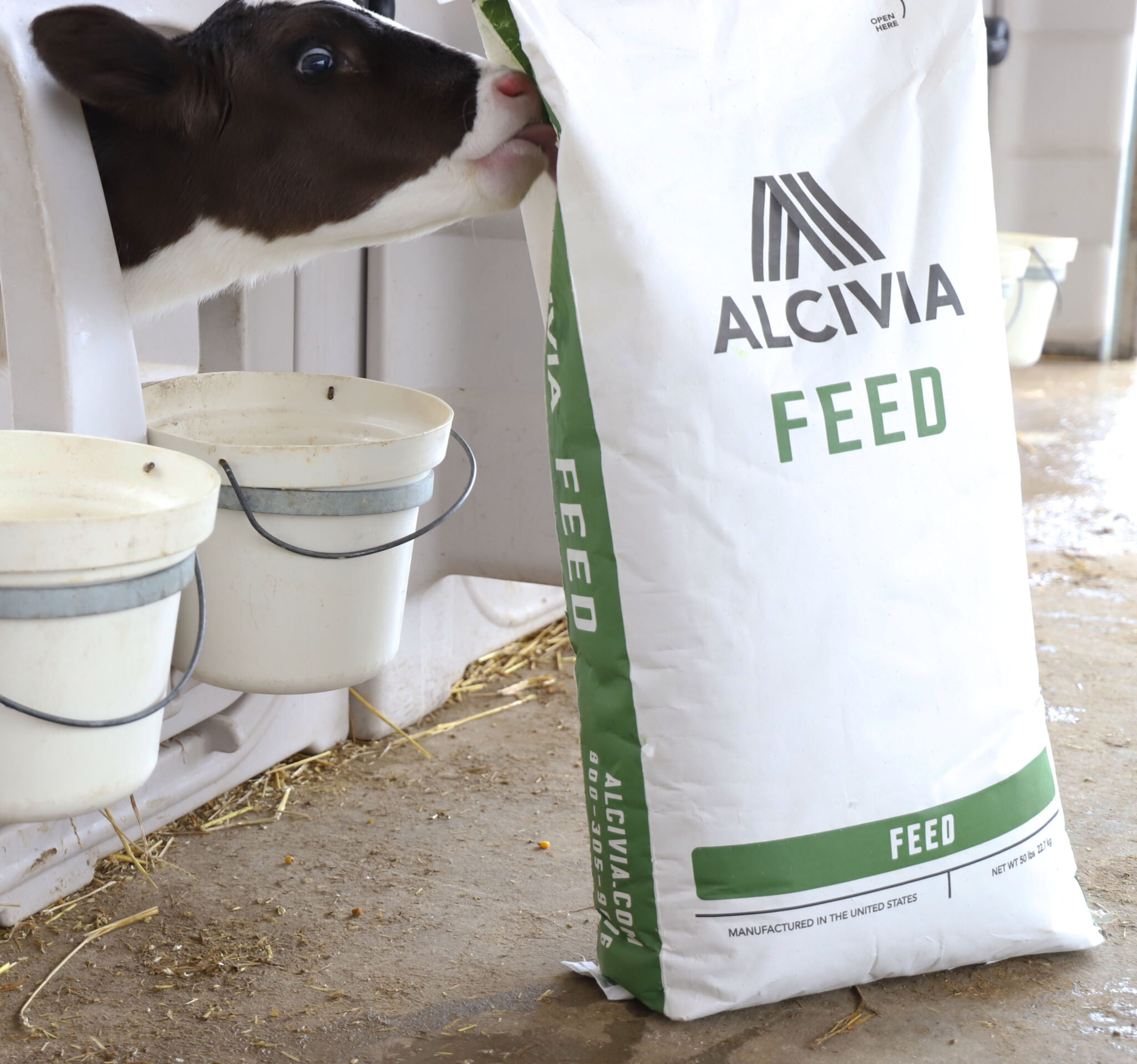 Calf Pro - Standard Economy Calf Feed