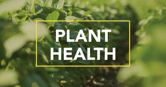 Micronutrients article. the words "plant health" over an image of crops.