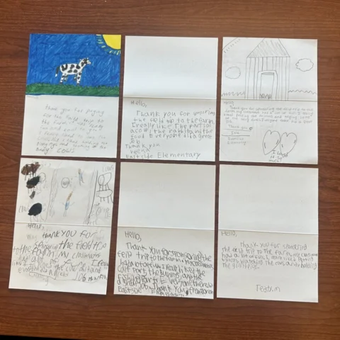 thank you cards - sqaure