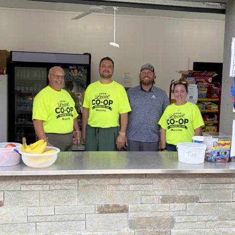 Durand youth baseball-volunteer